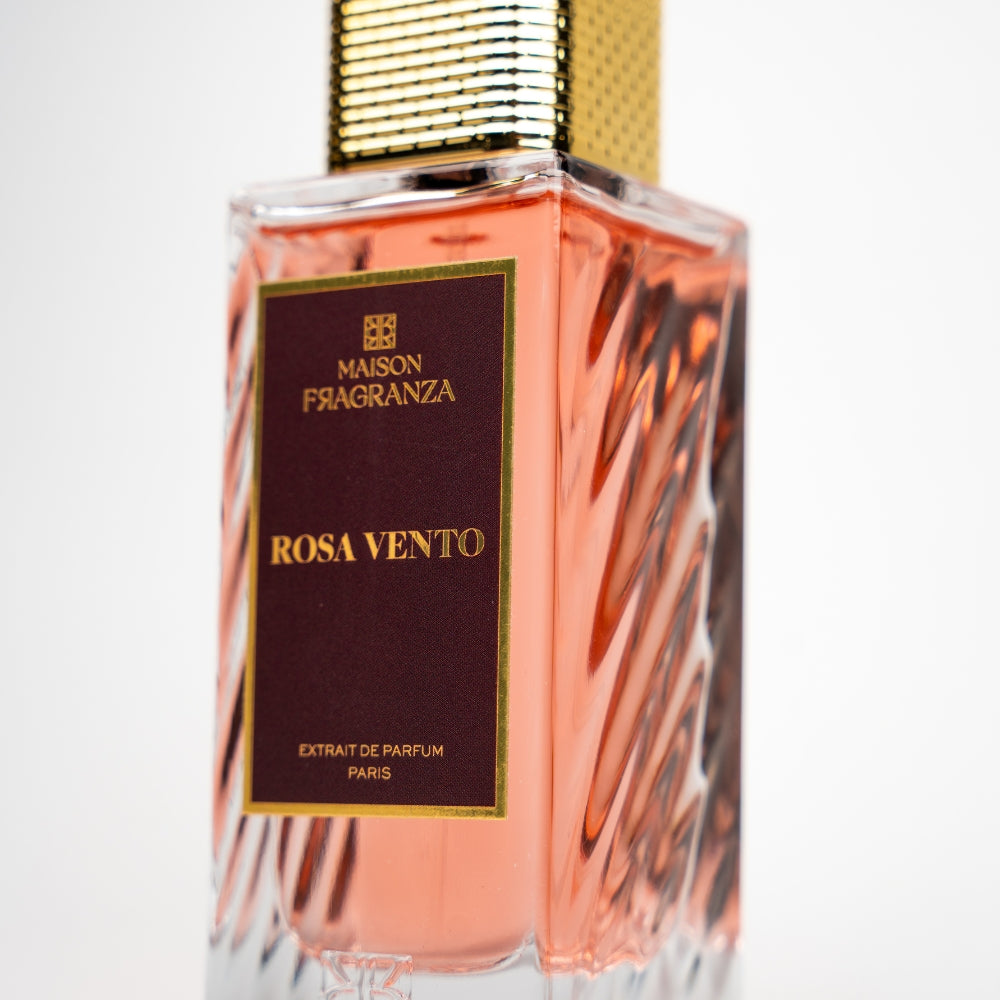 Rosa Vento – Image 2
